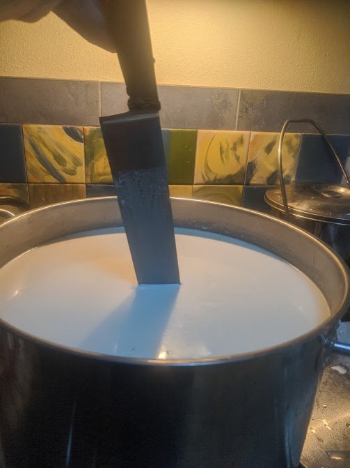 MAKING CHEESE WITH SARAH
