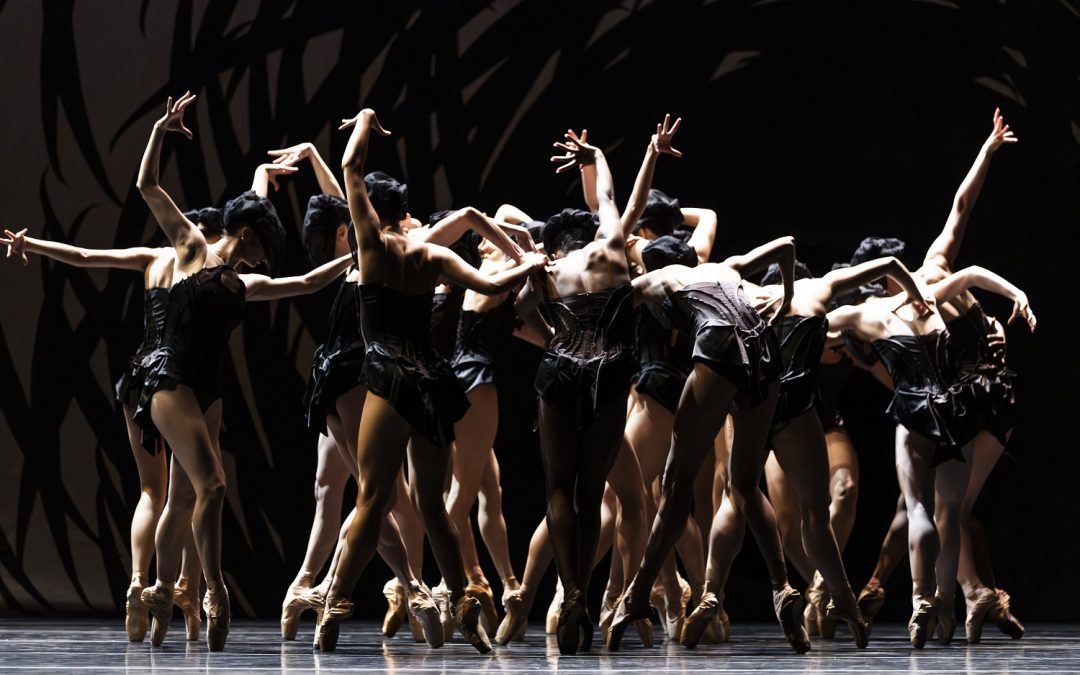 Pacific Northwest Ballet gives us Encore performances