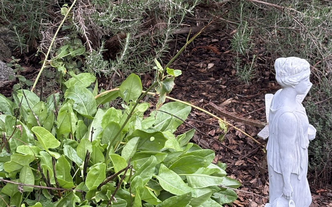 Also in fall, a cornucopia of vegetables